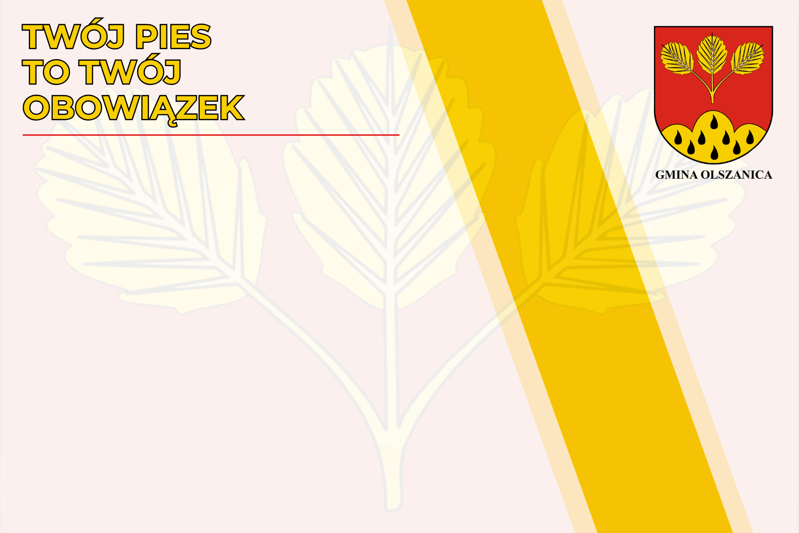 Twój pies to Twój obowiązek!