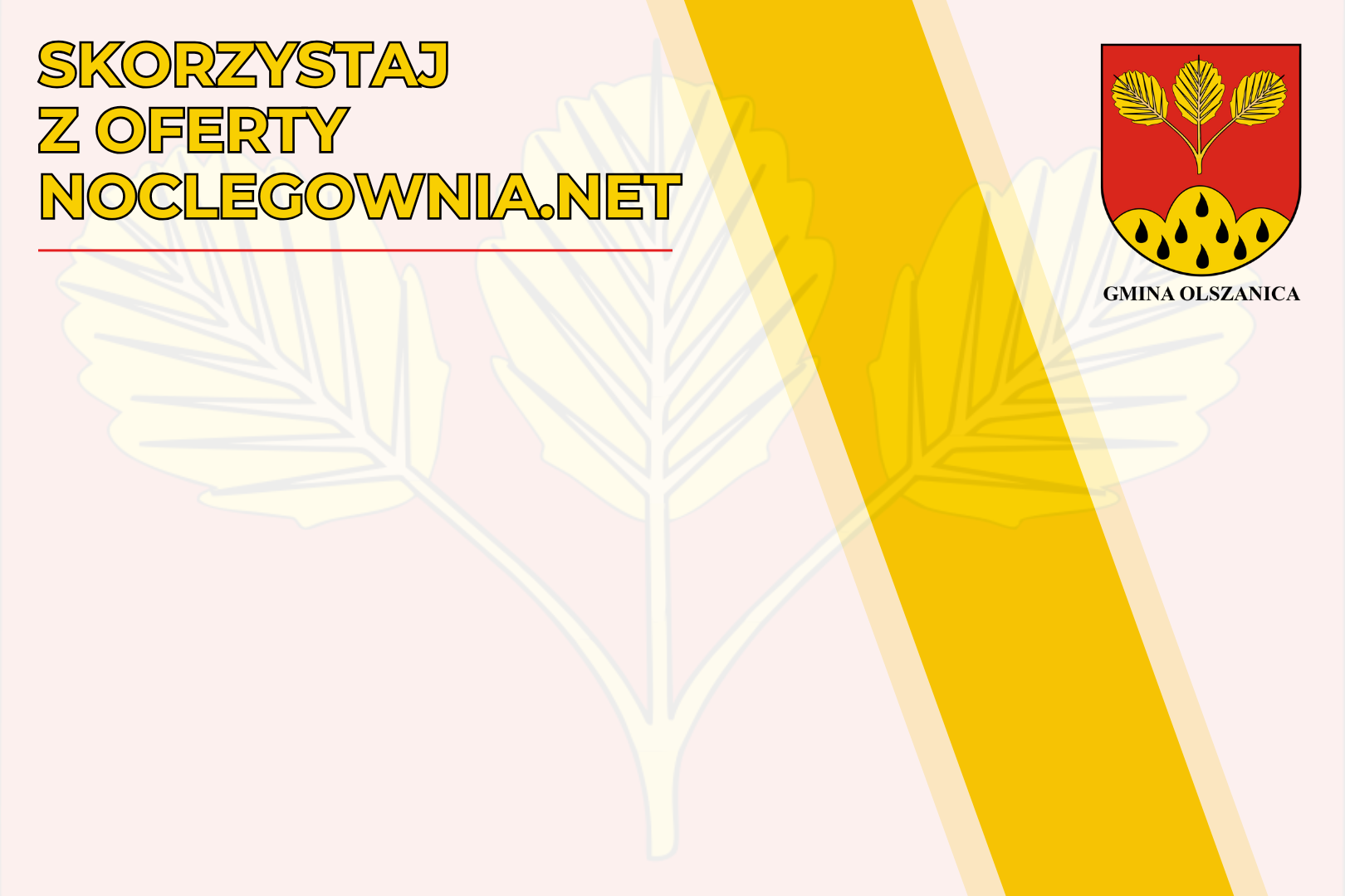 Gmina Olszanica nawiązała współpracę z portalem noclegownia.net