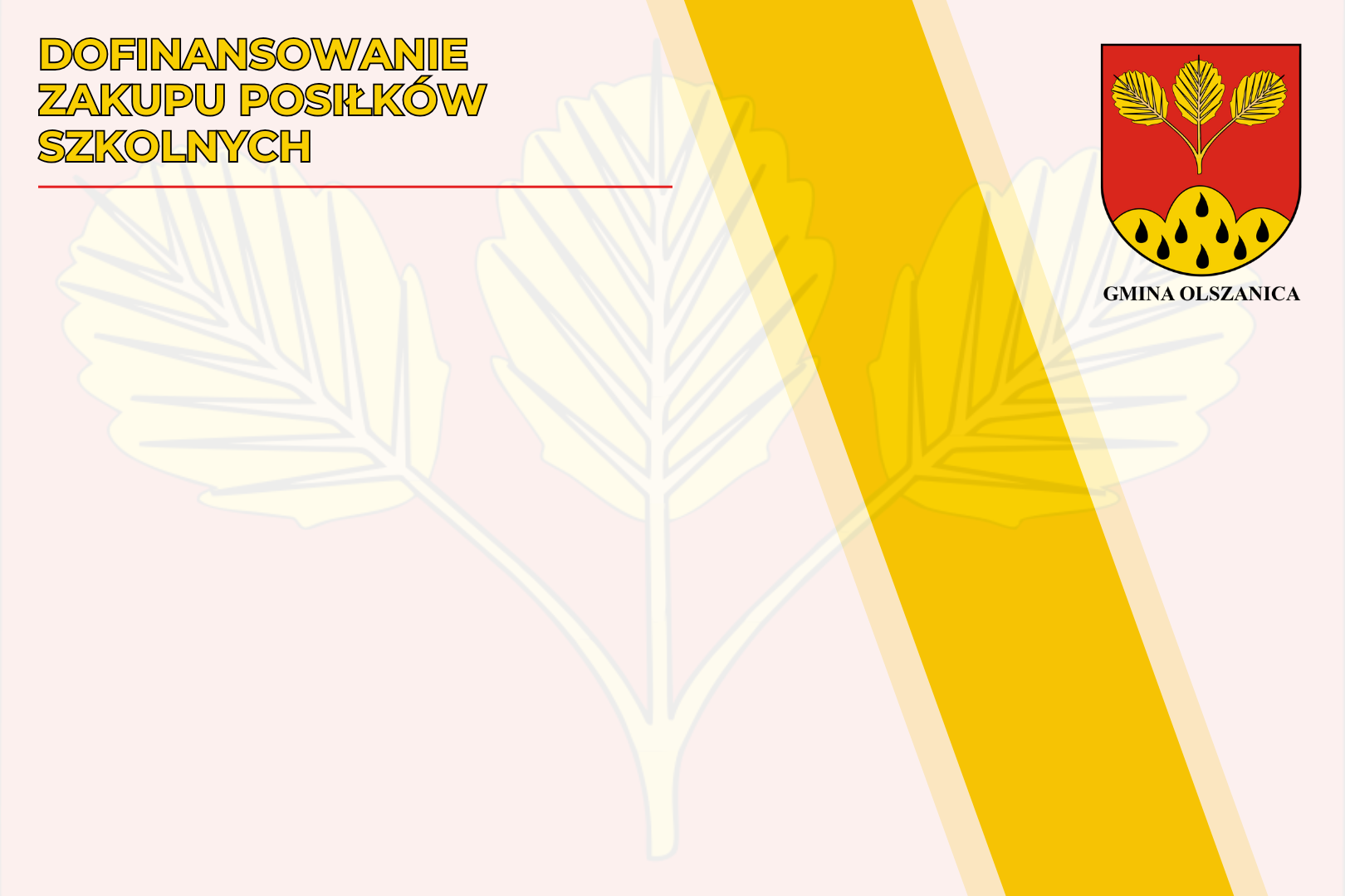 Dofinansowanie zakupu posiłków szkolnych