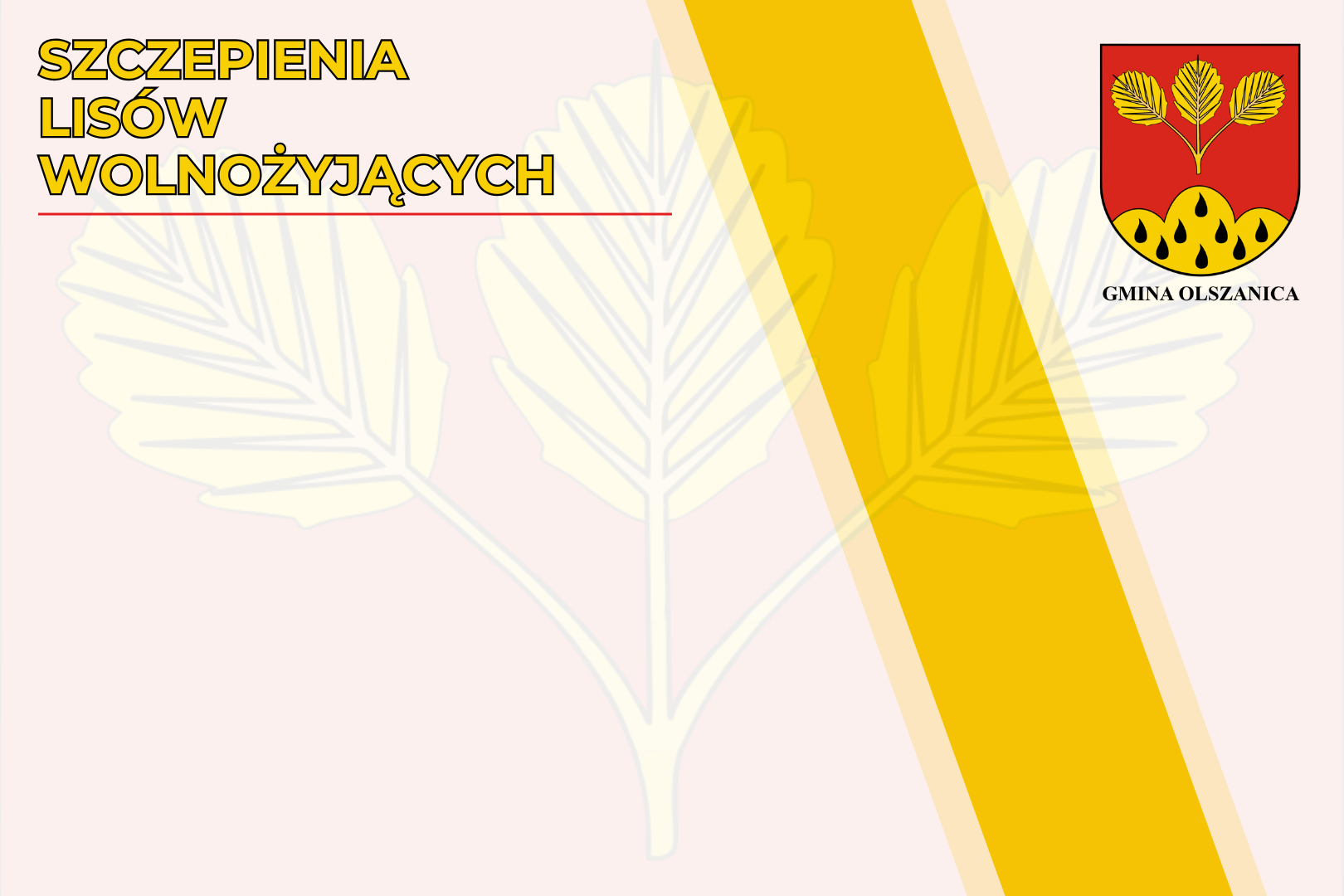 Szczepienia lisów wolnożyjących